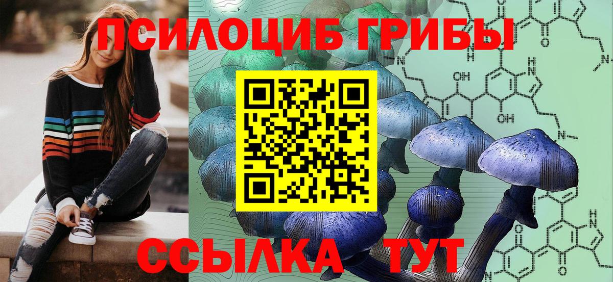 Псилоцибиновые грибы Cubensis Нерюнгри