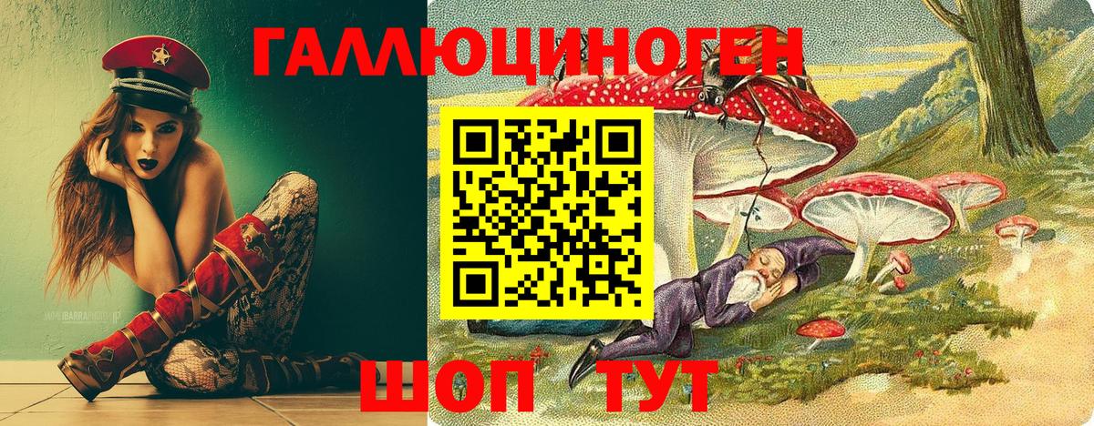 Псилоцибиновые грибы Psilocybine cubensis  даркнет сайт  Нерюнгри  Вход с VPN 